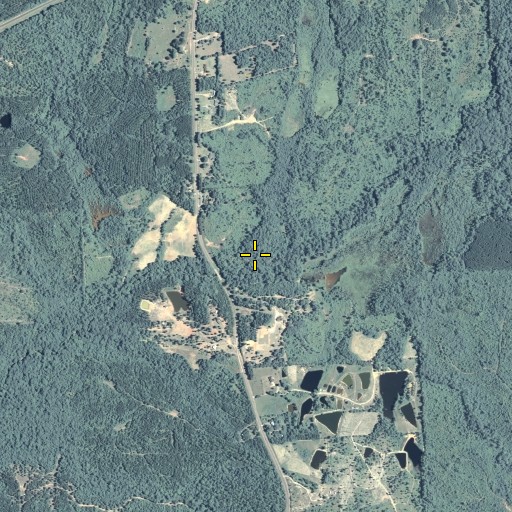 Aerial/Satellite Image of Bailey Branch, GA