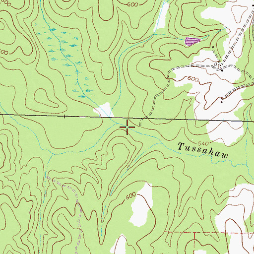 Topographic Map of Baker Branch, GA