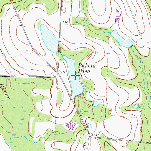 Topographic Map of Bakers Pond, GA