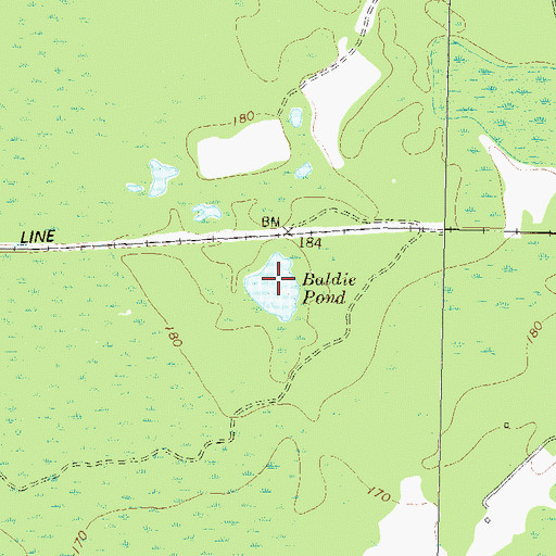 Topographic Map of Baldie Pond, GA