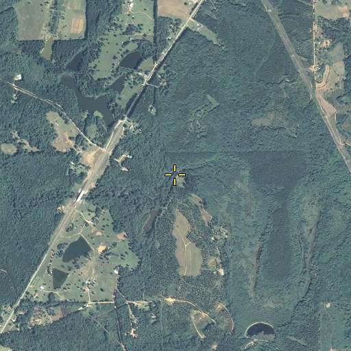 Aerial/Satellite Image of Ball Branch, GA