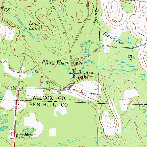 Topographic Map of Baptize Lake, GA