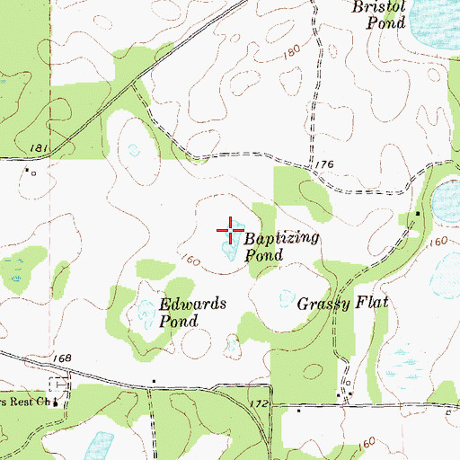 Topographic Map of Baptizing Pond, GA