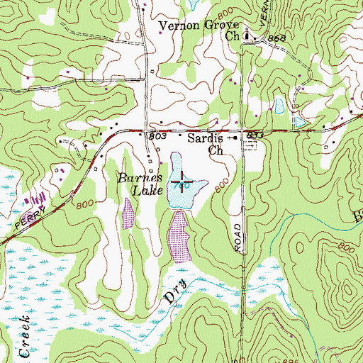 Topographic Map of Barnes Lake, GA