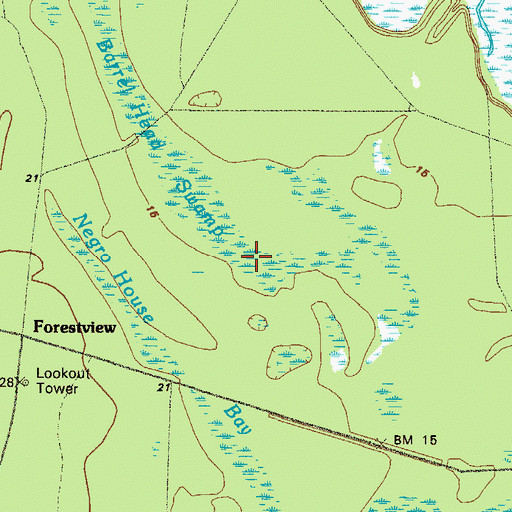 Topographic Map of Barrel Head Swamp, GA