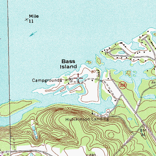 Topographic Map of Bass Island, GA