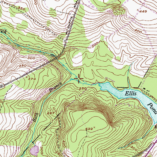 Topographic Map of Bath Branch, GA