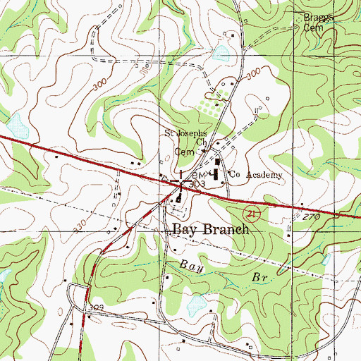 Topographic Map of Bay Branch, GA