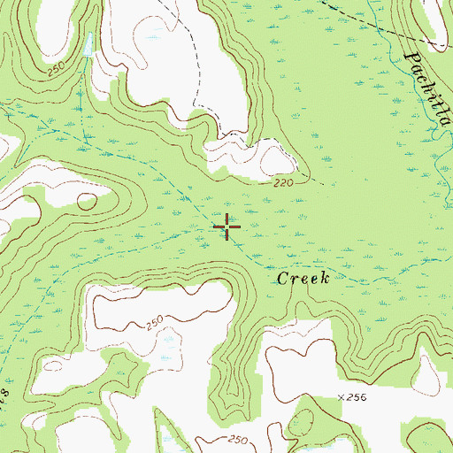 Topographic Map of Bay Branch, GA