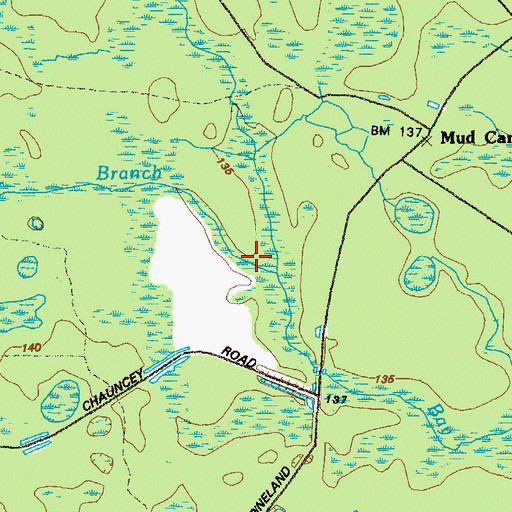 Topographic Map of Bear Branch, GA