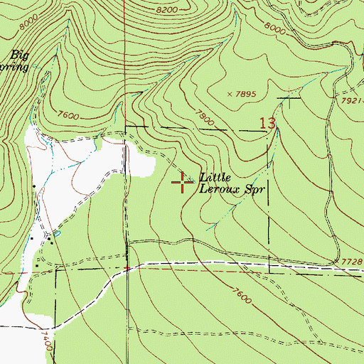Topographic Map of Little Leroux Spring, AZ