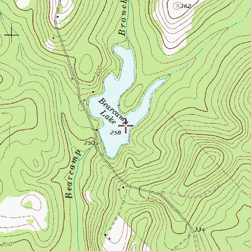 Topographic Map of Bearcamp Lake, GA
