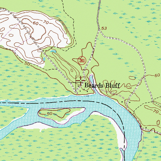 Topographic Map of Beards Bluff, GA