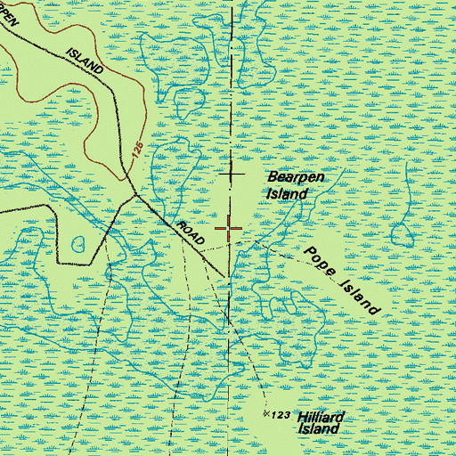 Topographic Map of Bearpen Island, GA
