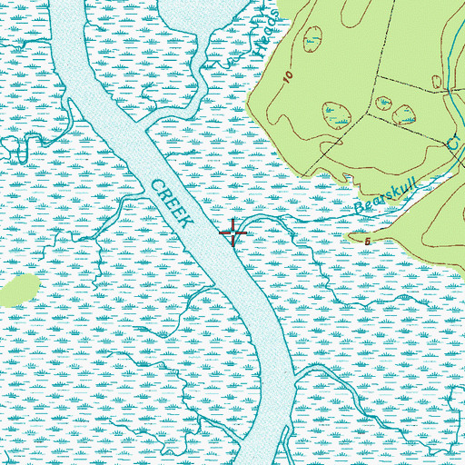 Topographic Map of Bearskull Creek, GA