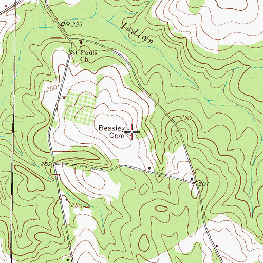 Topographic Map of Beasley Cemetery, GA