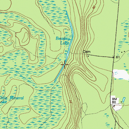 Topographic Map of Beasley Lake, GA