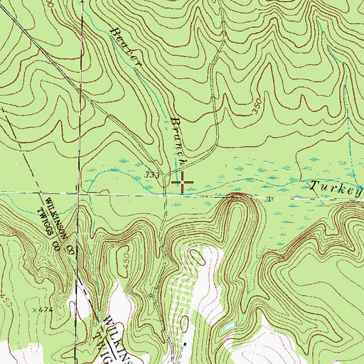 Topographic Map of Beaver Branch, GA