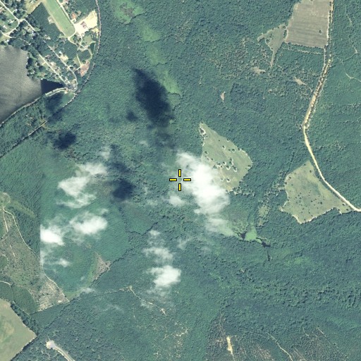 Aerial/Satellite Image of Beaver Creek, GA