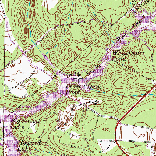 Topographic Map of Beaver Dam Pond, GA