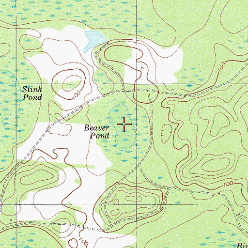 Topographic Map of Beaver Pond, GA