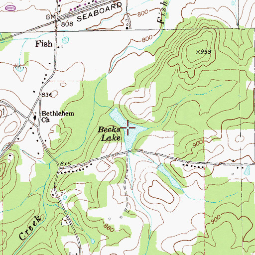 Topographic Map of Becks Lake, GA