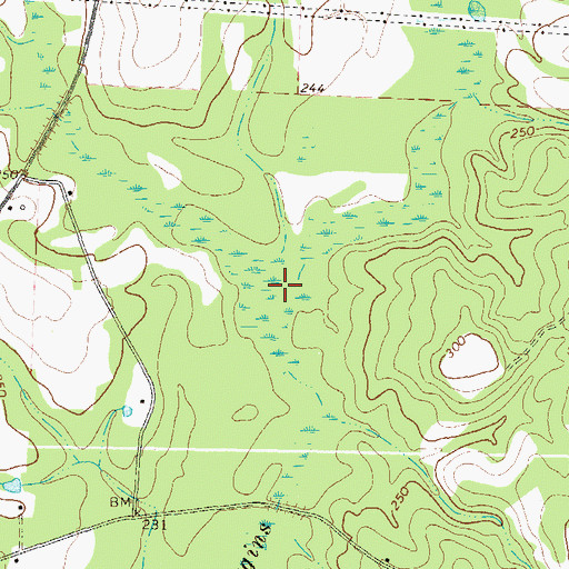 Topographic Map of Bee Gum Branch, GA