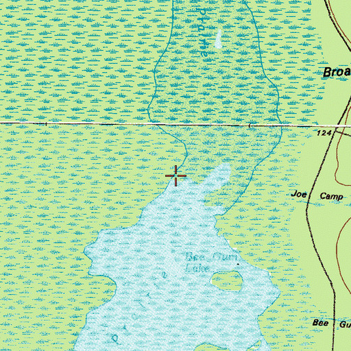 Topographic Map of Bee Gum Lake, GA