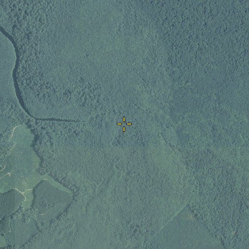 Aerial/Satellite Image of Beech Ridge, GA