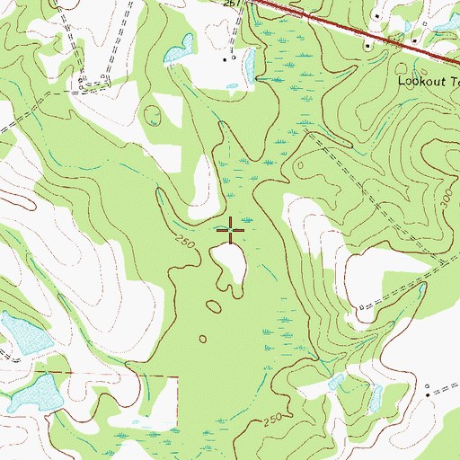 Topographic Map of Bens Branch, GA