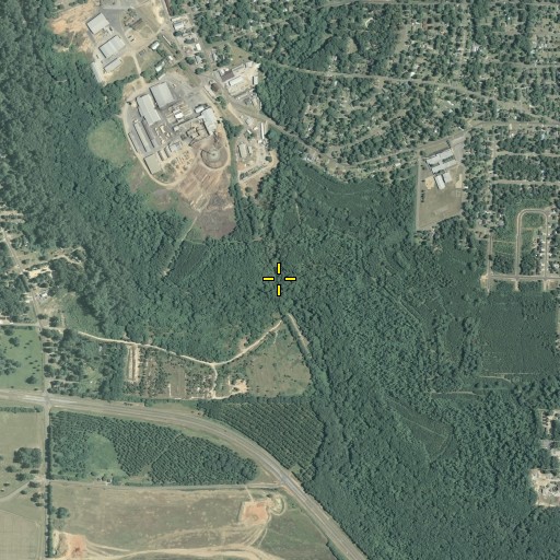 Aerial/Satellite Image of Berry Branch, GA