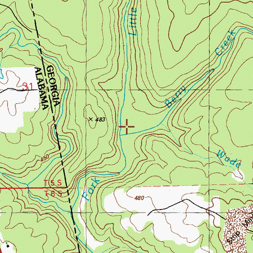 Topographic Map of Berry Creek, GA