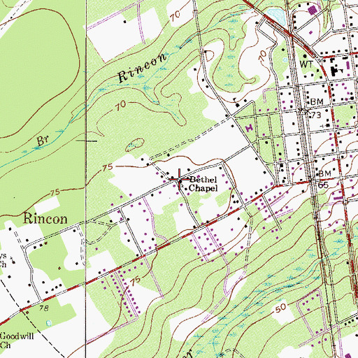 Topographic Map of Bethel Chapel, GA