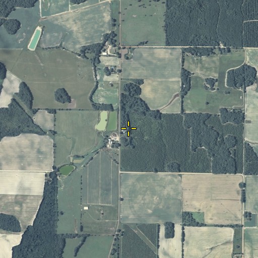 Aerial/Satellite Image of Bethel Church, GA
