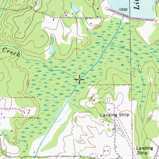 Topographic Map of Bethel Creek, GA