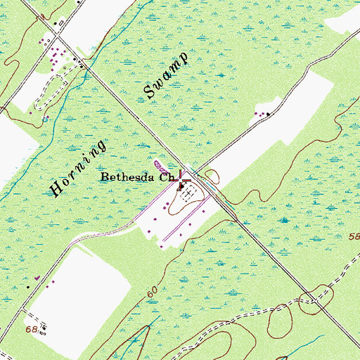 Topographic Map of Bethesda Church, GA