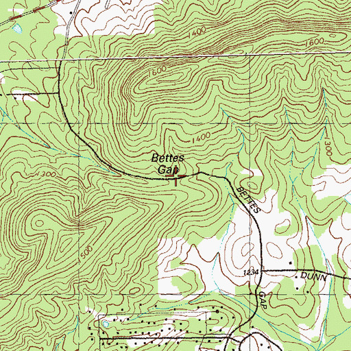 Topographic Map of Bettes Gap, GA