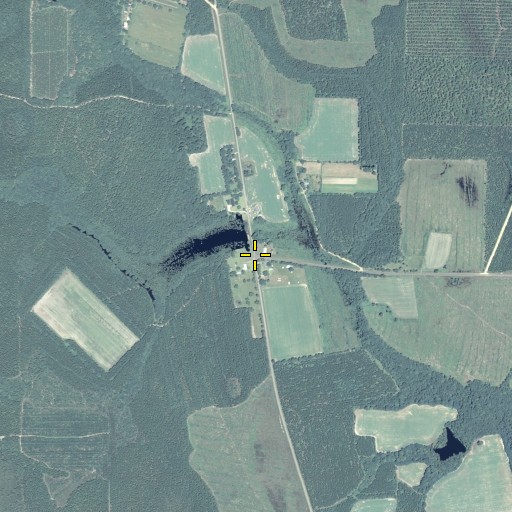 Aerial/Satellite Image of Bickley, GA