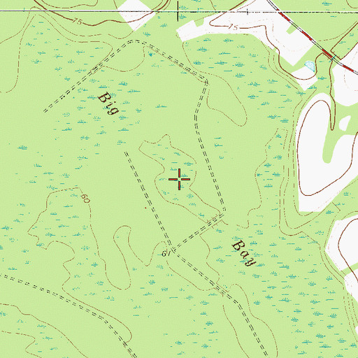 Topographic Map of Big Bay, GA