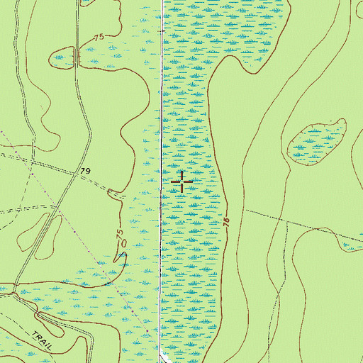 Topographic Map of Big Bay, GA