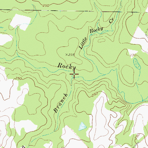 Topographic Map of Big Branch, GA
