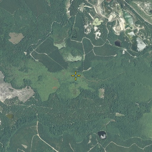 Aerial/Satellite Image of Big Branch, GA