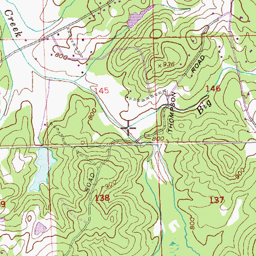 Topographic Map of Big Branch, GA
