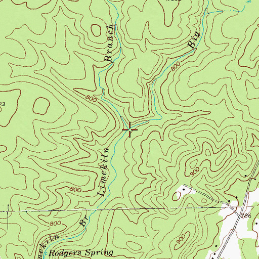 Topographic Map of Big Branch, GA