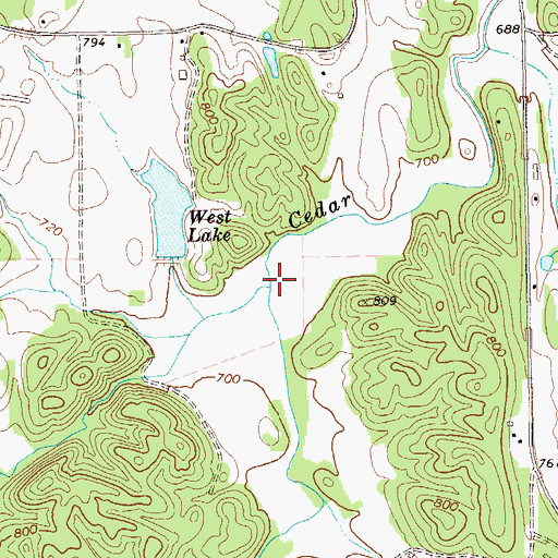 Topographic Map of Big Branch, GA