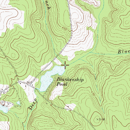 Topographic Map of Big Branch, GA