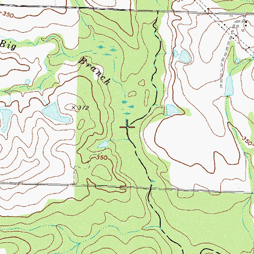 Topographic Map of Big Branch, GA