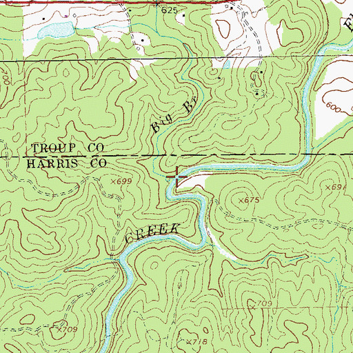 Topographic Map of Big Branch, GA