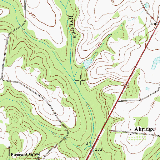Topographic Map of Big Branch, GA