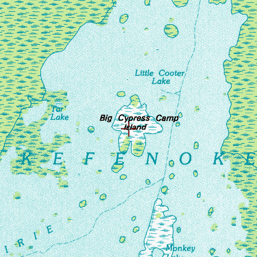 Topographic Map of Big Cypress Lake, GA